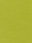 Rollo Charlotte 13041 Detailansicht