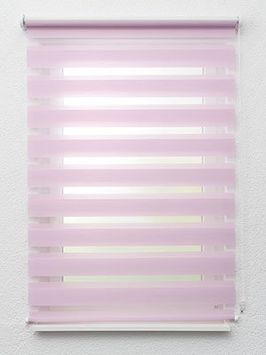 Preview Xinca 6504 1