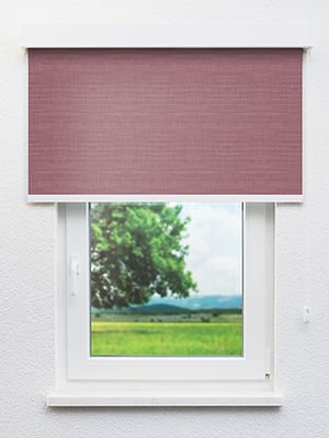 Preview Thalwil 20348 0