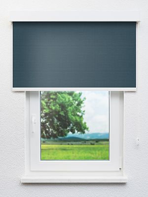 Preview Leysin 20116 0