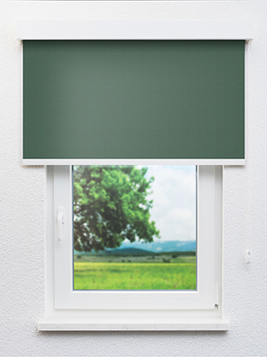 Preview Leysin Verdunkelung 20129 0