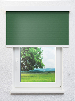 Preview Mauraz Verdunkelung 20199 0