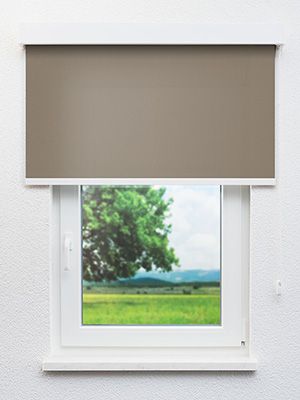 Preview San Jose 6421 0