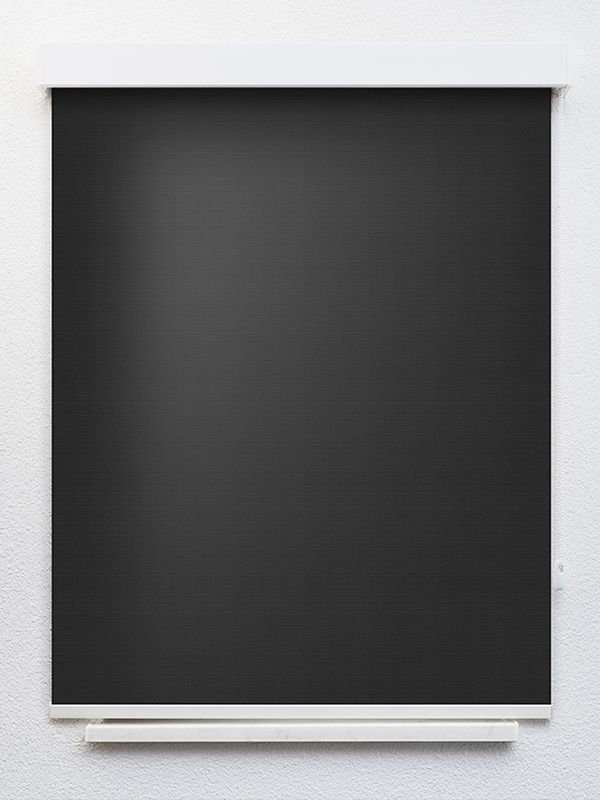 Detailansicht Truttikon 20360