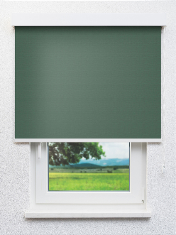 Detailansicht Leysin Verdunkelung 20129