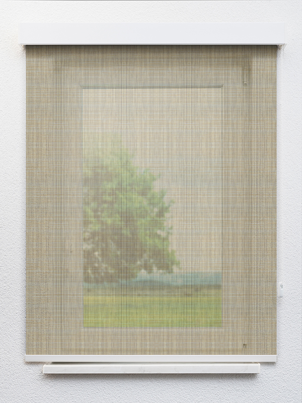 Detailansicht Galmiz 20070