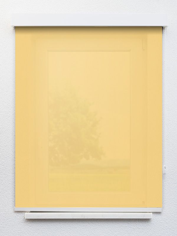 Detailansicht Tenerife 5340