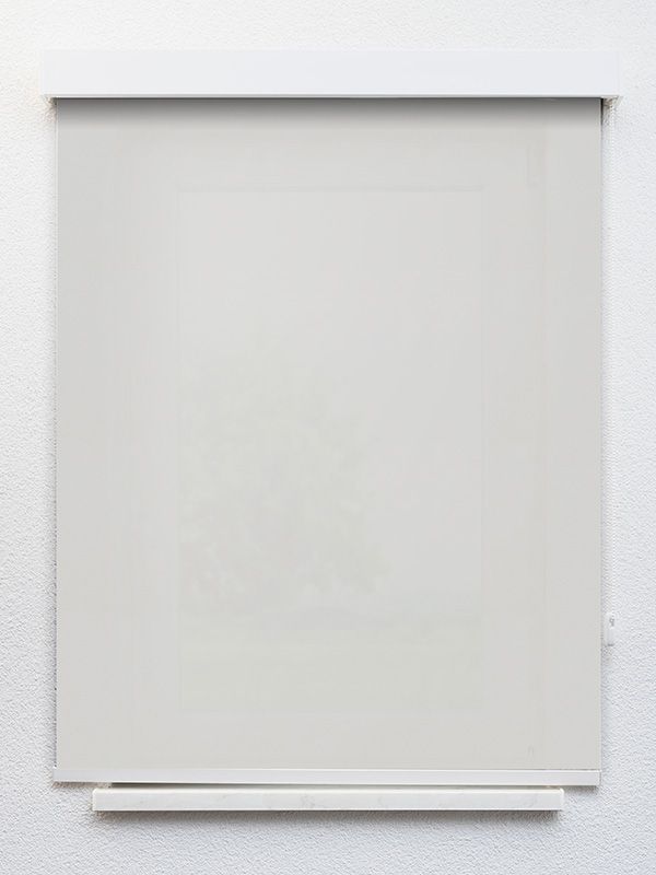 Detailansicht Contramaestre 6406