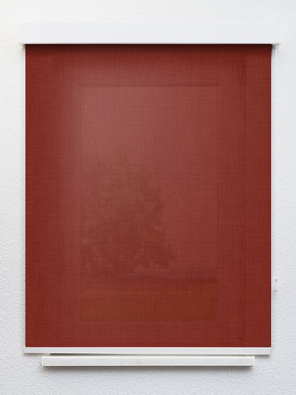 Detailansicht Paraja 7382