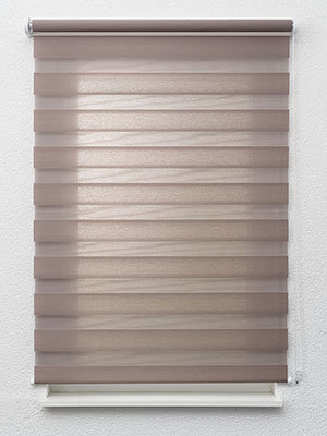 Xinca 6501 Fensteransicht