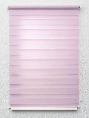 Xinca 6504 Fensteransicht