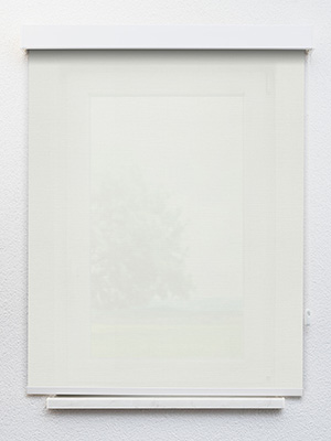 Preview Alcudia 8100 1