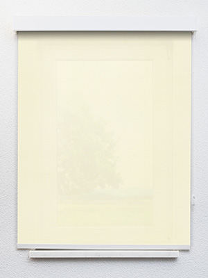 Preview Alcudia 8103 1