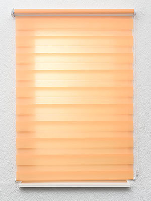 Aguacateco 6531 Fensteransicht