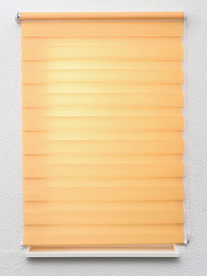 Jacalteco 6542 Fensteransicht