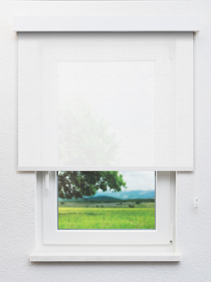 Roches 20325 Fensteransicht