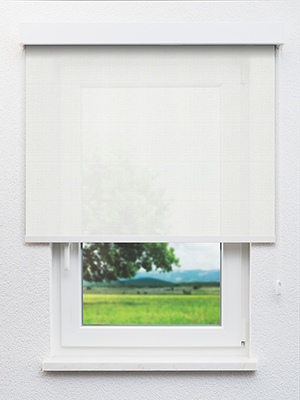 Savosa 20335 Fensteransicht