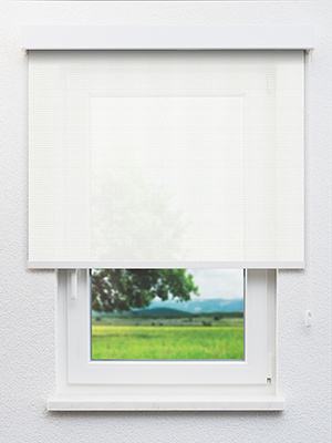 Meyriez 20252 Fensteransicht