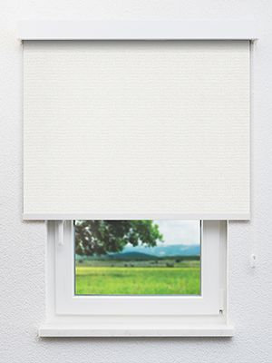 Lucens 20137 Fensteransicht