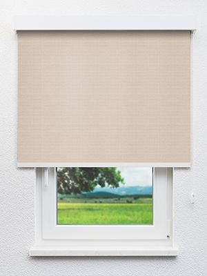 Malters 20238 Fensteransicht