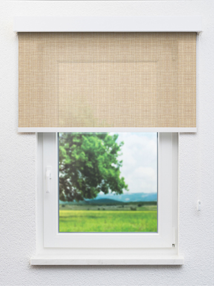 Preview Prélez 20283 2