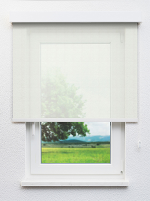 Gollion 20073 Fensteransicht