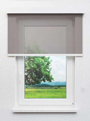 Preview Pailly 20270 2