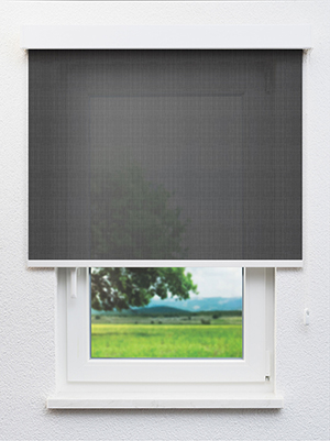 Gresso 20080 Fensteransicht