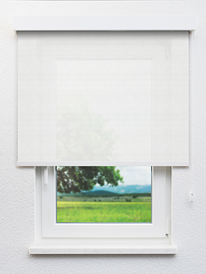 Aarburg 20006 Fensteransicht