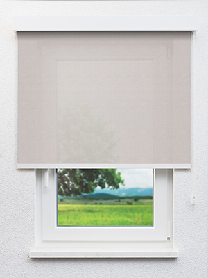 Savosa 20338 Fensteransicht