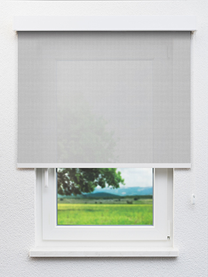 Bassins 20011 Fensteransicht