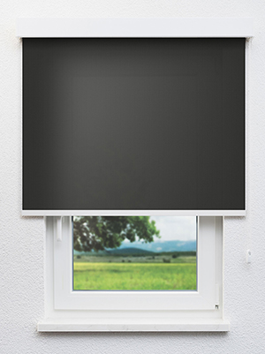 Pura 20278 Fensteransicht