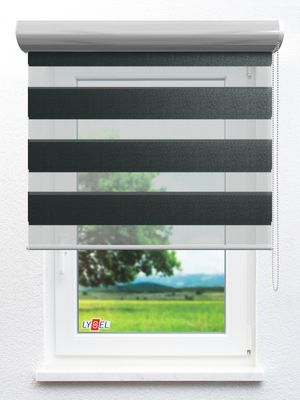 Simply Doppelrollo Ravensburg 30451 Fensteransicht