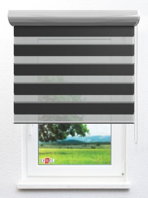 Simply Doppelrollo Nürnberg 30411 Fensteransicht