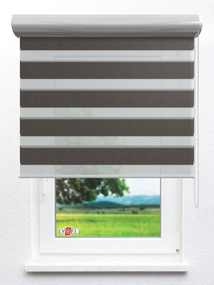 Simply Doppelrollo Münster 30271 Fensteransicht