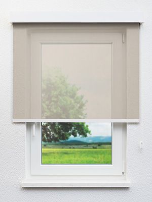 Cobra 6413 Fensteransicht