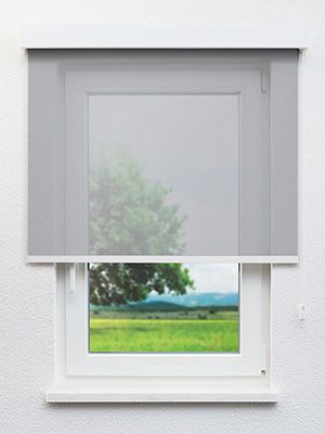 Cobra 4398 Fensteransicht