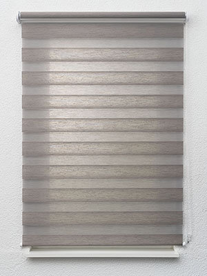 Choloma 6631 Fensteransicht