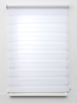 Choloma 6633 Fensteransicht