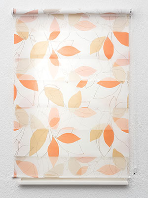 El Progreso 6638 Fensteransicht