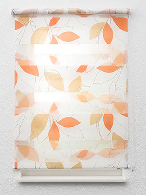 Preview El Progreso 6638 2