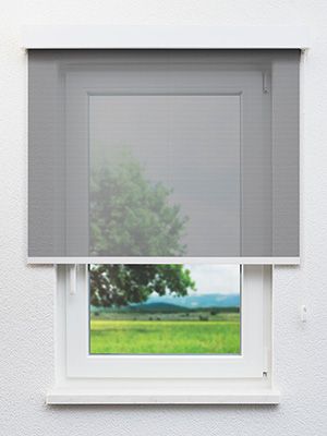 Escalona 7610 Fensteransicht