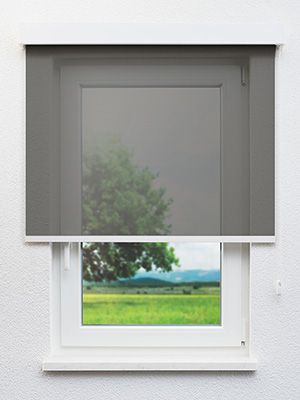 Escalona 7611 Fensteransicht