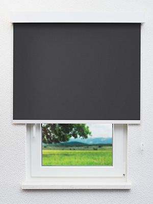 Pals 8152 Fensteransicht