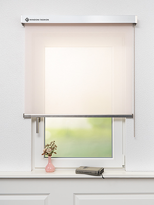 Rollo Charlotte 13141 Fensteransicht