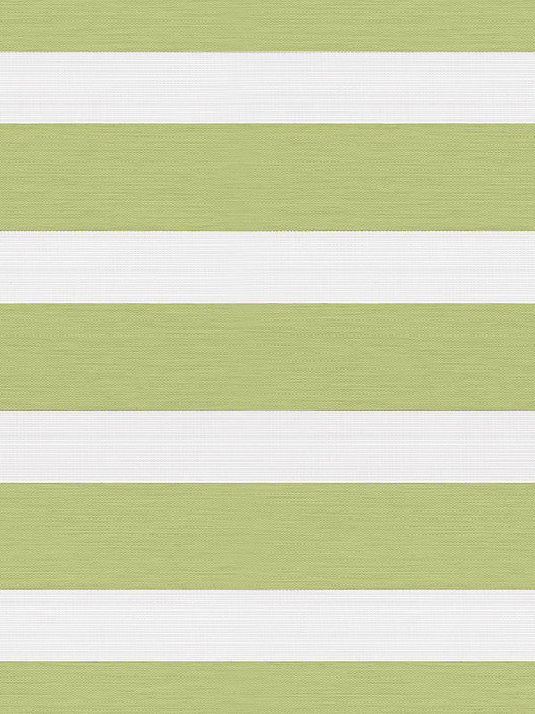 Detailansicht Chorti 6522