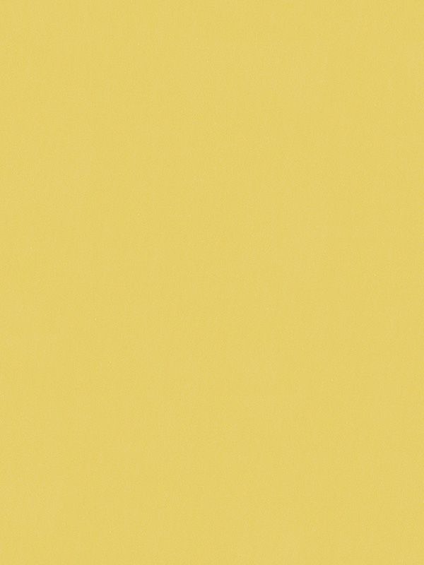 Detailansicht Conesa 7753