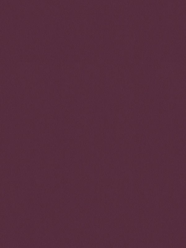 Detailansicht Conesa 7754