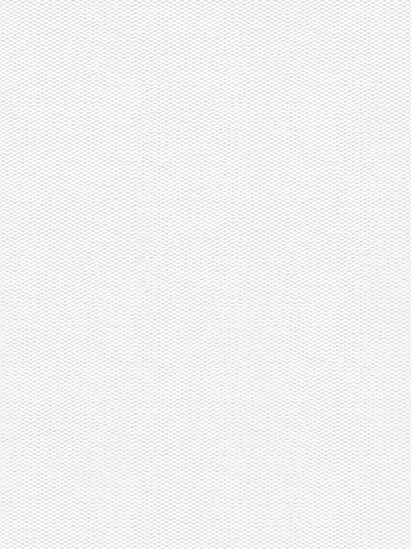 Detailansicht Truttikon 20356