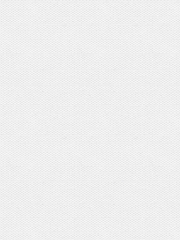 Detailansicht Truttikon Verdunkelung 20372